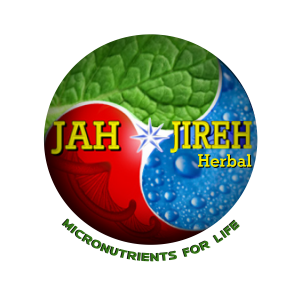 Jah-Jireh Official Logo